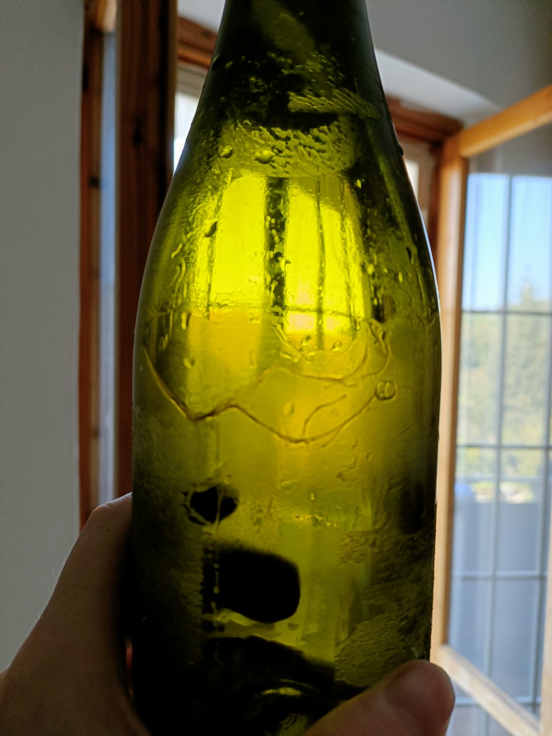 Bottiglia pulita con lo sgrassatore