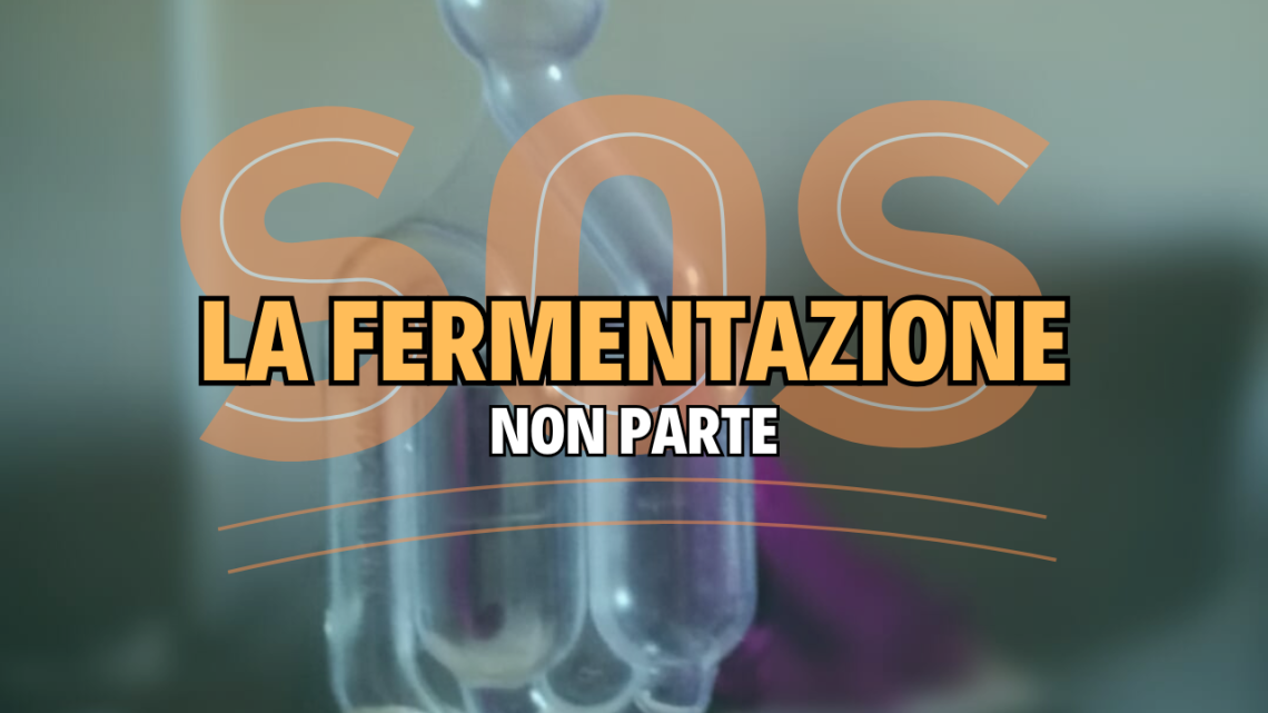 La fermentazione non parte