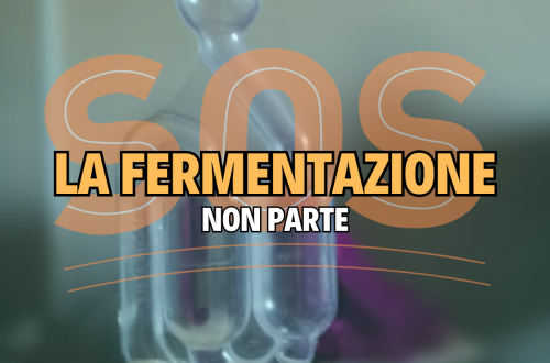 La fermentazione non parte