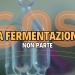 La fermentazione non parte