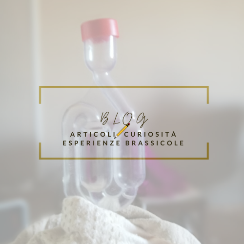 Blog birrificando in casa