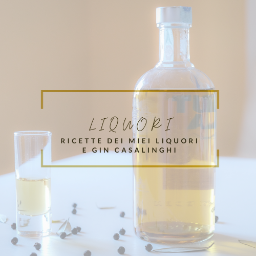 Liquori fatti in casa