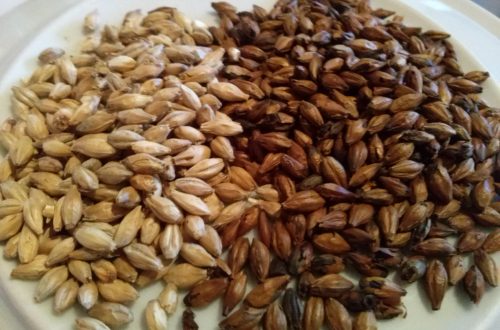 Malti speciali fatti in casa